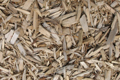 biomass boilers Glenrothes